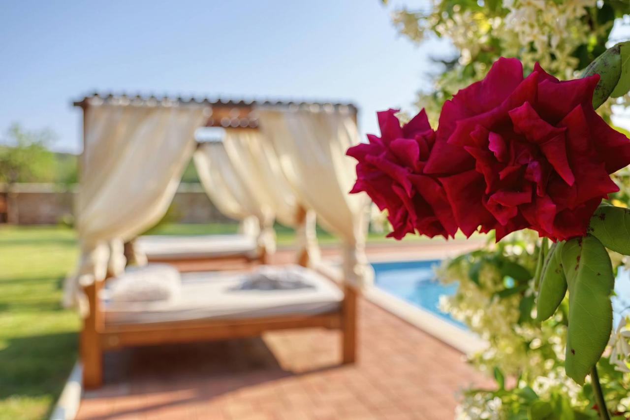 פומר Holiday Home Giardino Marino מראה חיצוני תמונה