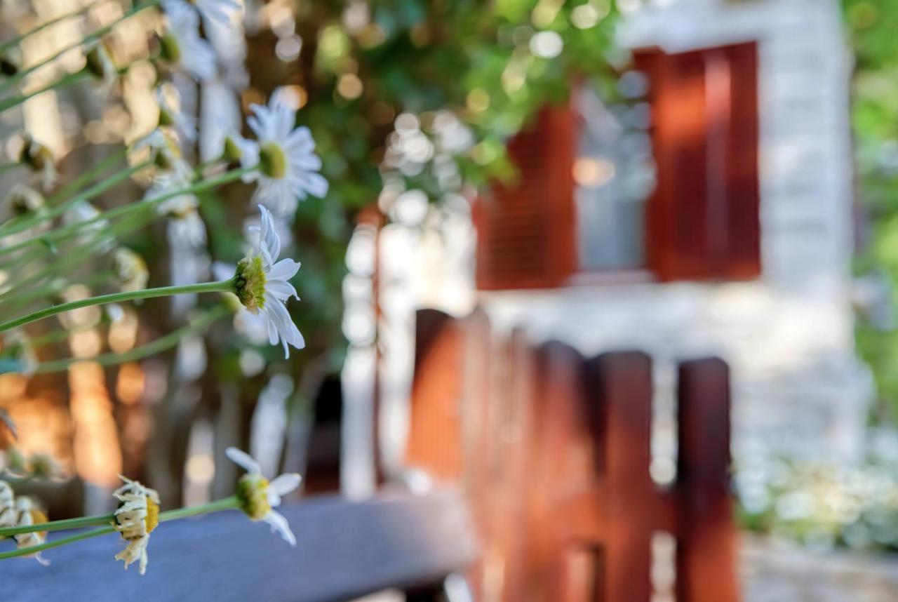 פומר Holiday Home Giardino Marino מראה חיצוני תמונה
