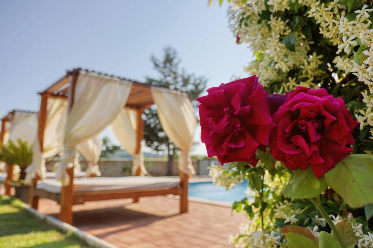 פומר Holiday Home Giardino Marino מראה חיצוני תמונה