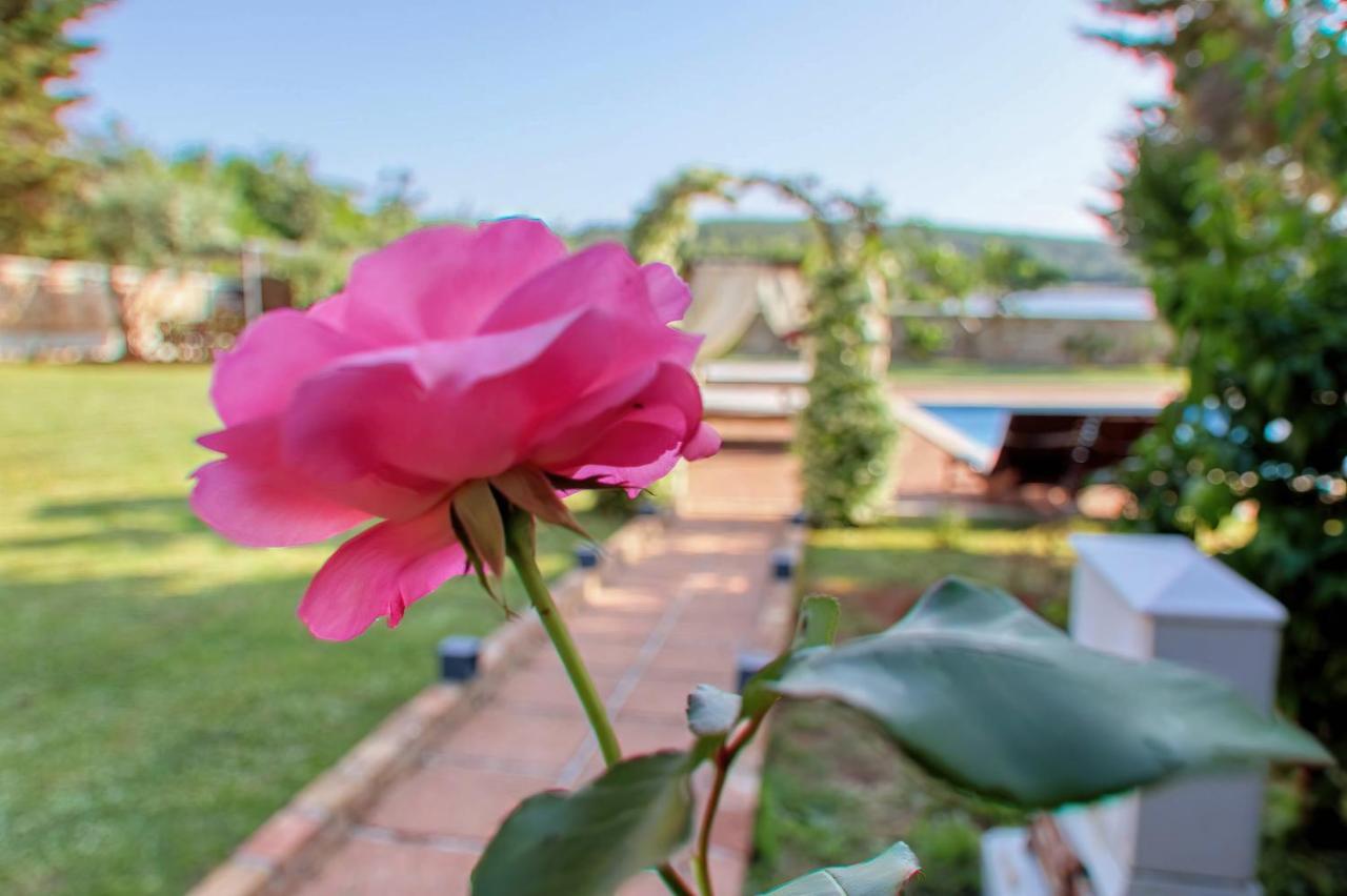 פומר Holiday Home Giardino Marino מראה חיצוני תמונה